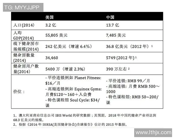 独家分析:上海网球队的节奏对比 独家分析:上海网球队的节奏对比